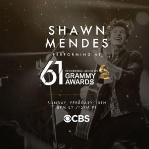 Shawn Mendes的tiktok主页(@shawnmendes)