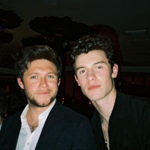 尼尔·霍伦的tiktok主页(@niallhoran)