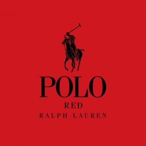 安塞尔·埃尔格特Ansel Elgort的tiktok主页(@ansel)