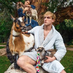 Logan Paul的tiktok主页(@loganpaul)