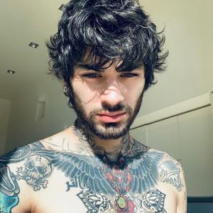 Zayn Malik的tiktok主页(@zayn)