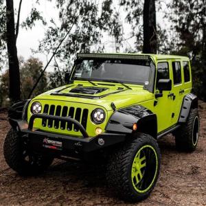 琥珀玫瑰的tiktok主页(@amberrose)