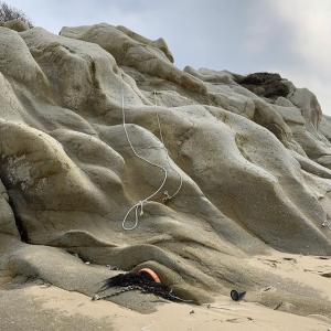 小松菜奈的tiktok主页(@konichan7)