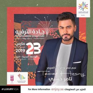 塔莫赫斯尼Tamer Hosny的tiktok主页(@tamerhosny)