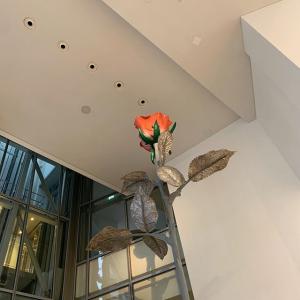 J的tiktok主页(@jennierubyjane)