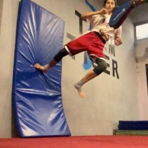 蒂莎帕塔妮的tiktok主页(@dishapatani)