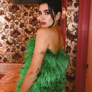 Dua Lipa的tiktok主页(@dualipa)