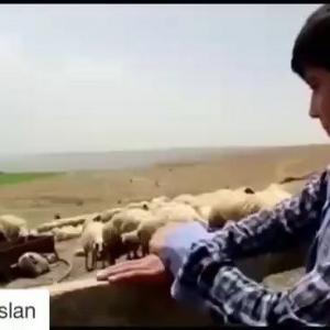 長友佑都的tiktok主页(@yutonagatomo55)