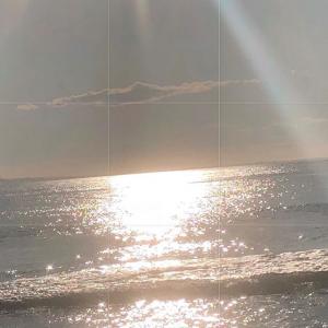 珮顿·利斯特的tiktok主页(@peytonlist)