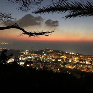 南希阿杰拉姆Nancy Ajram的tiktok主页(@nancyajram)