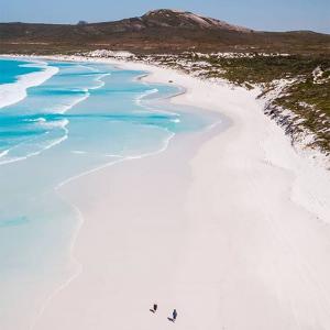 凯拉伊辛斯KAYLA ITSINES的tiktok主页(@kayla_itsines)