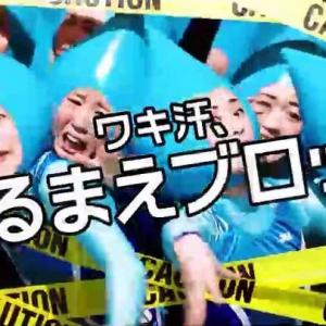 中村安的tiktok主页(@cocoannne)