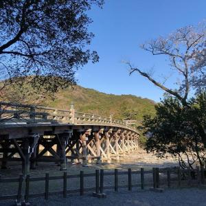 艾·塔卡哈希的tiktok主页(@i_am_takahashi)