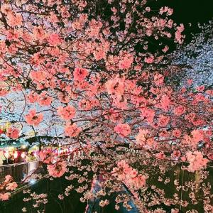 日本女神megbaby???的tiktok主页(@_megbaby_)