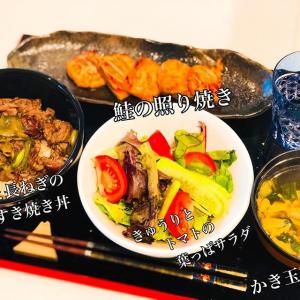 平愛梨オフィシャル的tiktok主页(@harikiri_tairi)