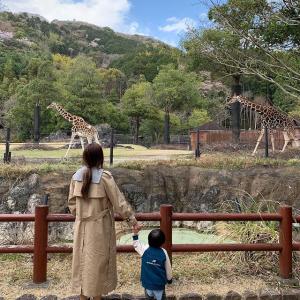 Youn-a的tiktok主页(@youn1029)