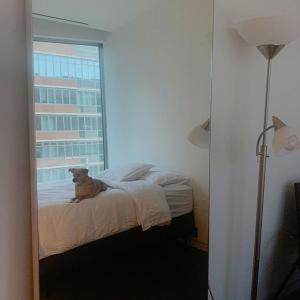 Ariana Grande tiktok