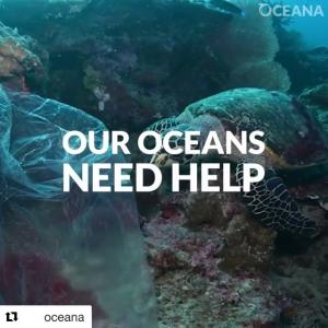 埃尔莎·帕塔奇tiktok