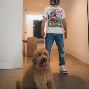 贾斯汀·汀布莱克tiktok