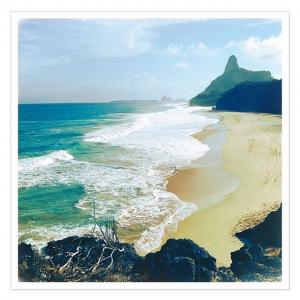 坎蒂丝·斯瓦内普尔tiktok