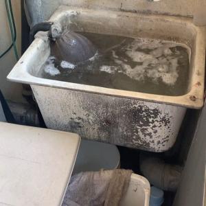 哈特利·索耶尔tiktok