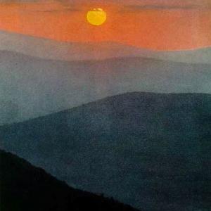 frida gustavsson  tiktok