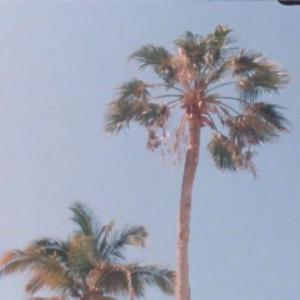 s a b r i n a s a n t i a g o  tiktok